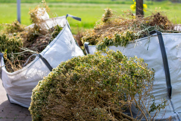 Best Junk Hauling Services  in Folsom, CA