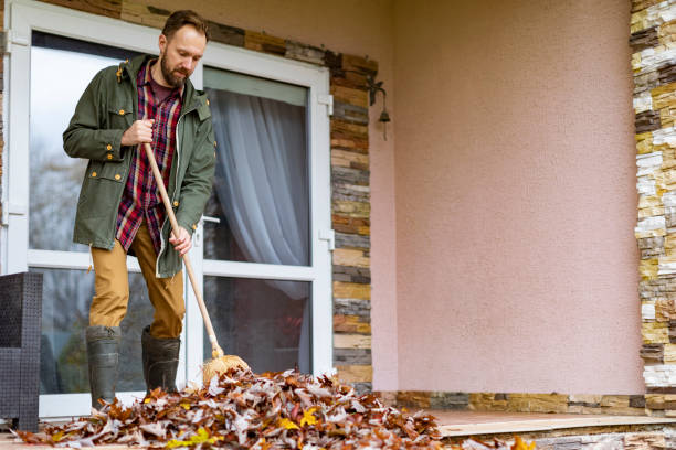 Attic Cleanout Services in Folsom, CA